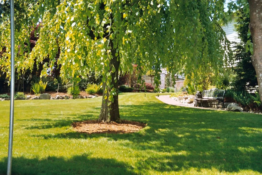 Custom landscaping services for year-round maintenance across Tukwila, WA - New Beginning Garden and Lawn Care