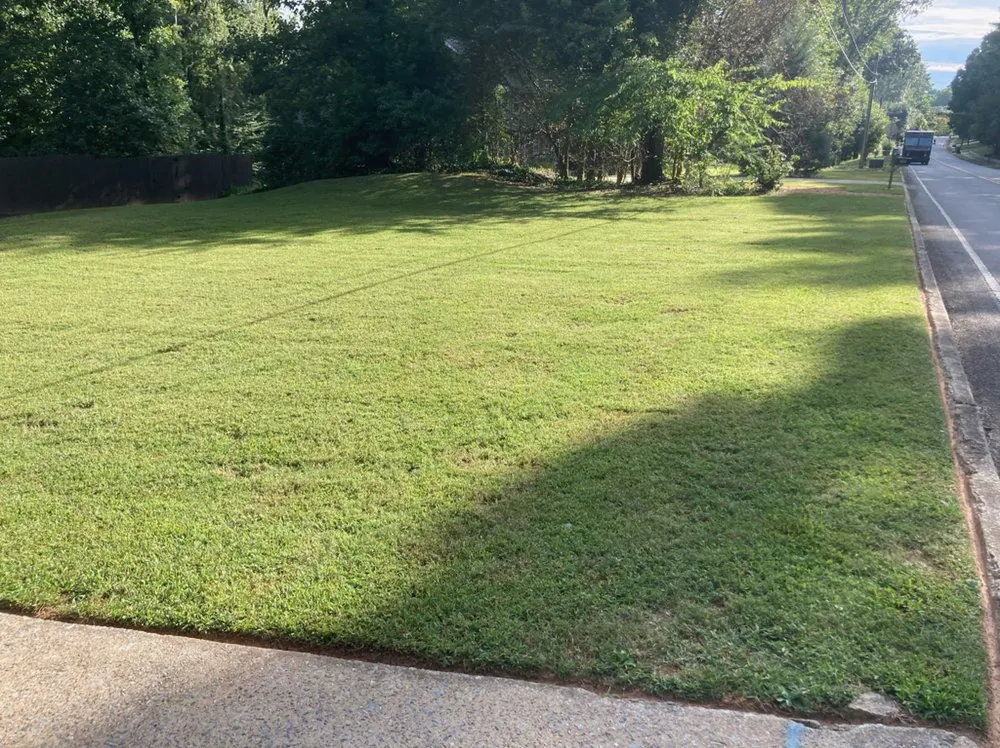 Local outdoor landscaping in Atlanta, GA by New Beginning Landscape & Remodel