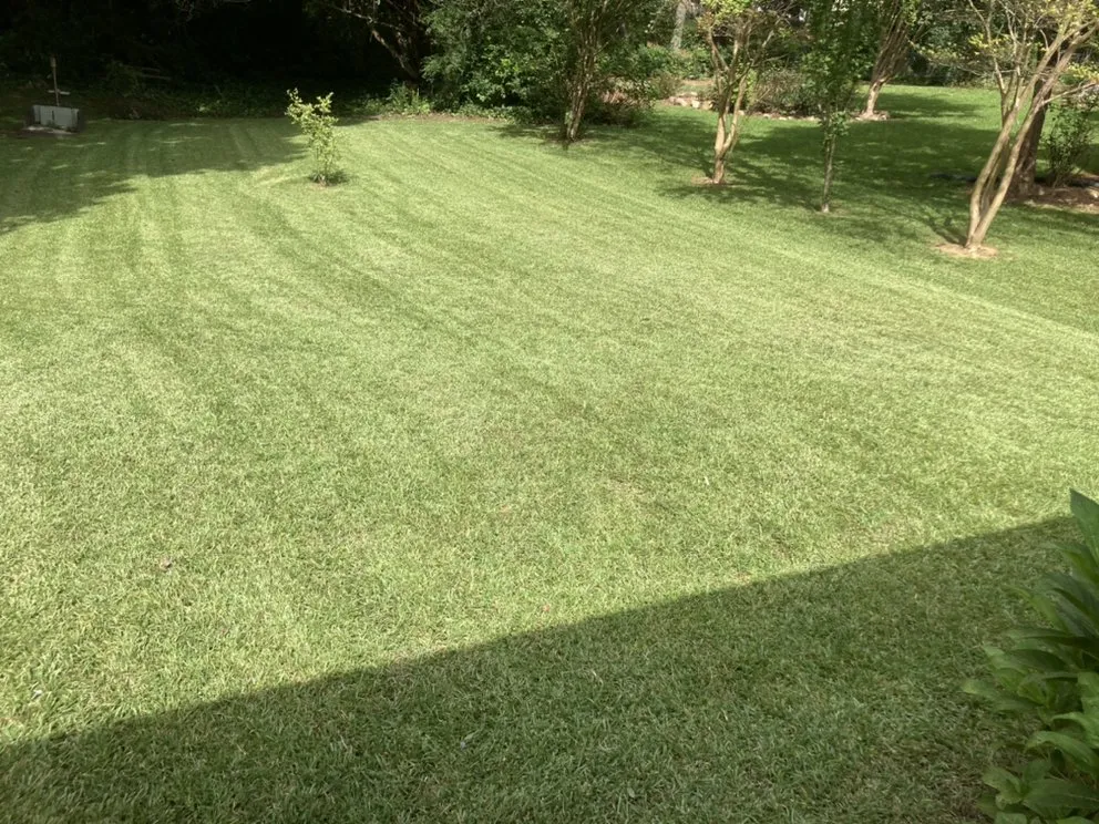 Expert landscape installation experts serving Atlanta, GA - New Beginning Landscape & Remodel