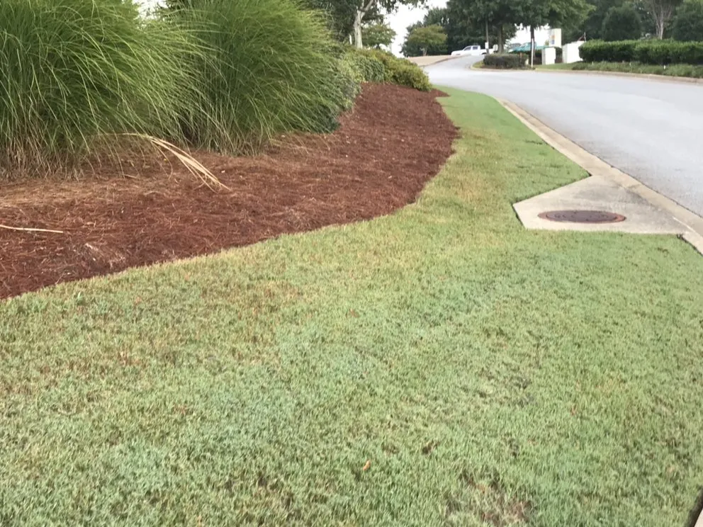Expert landscape installation in Atlanta, GA by New Beginning Landscape & Remodel