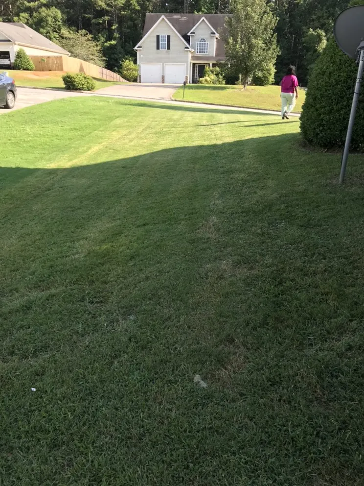 Trusted landscaping services for residential properties across Atlanta, GA - New Beginning Landscape & Remodel