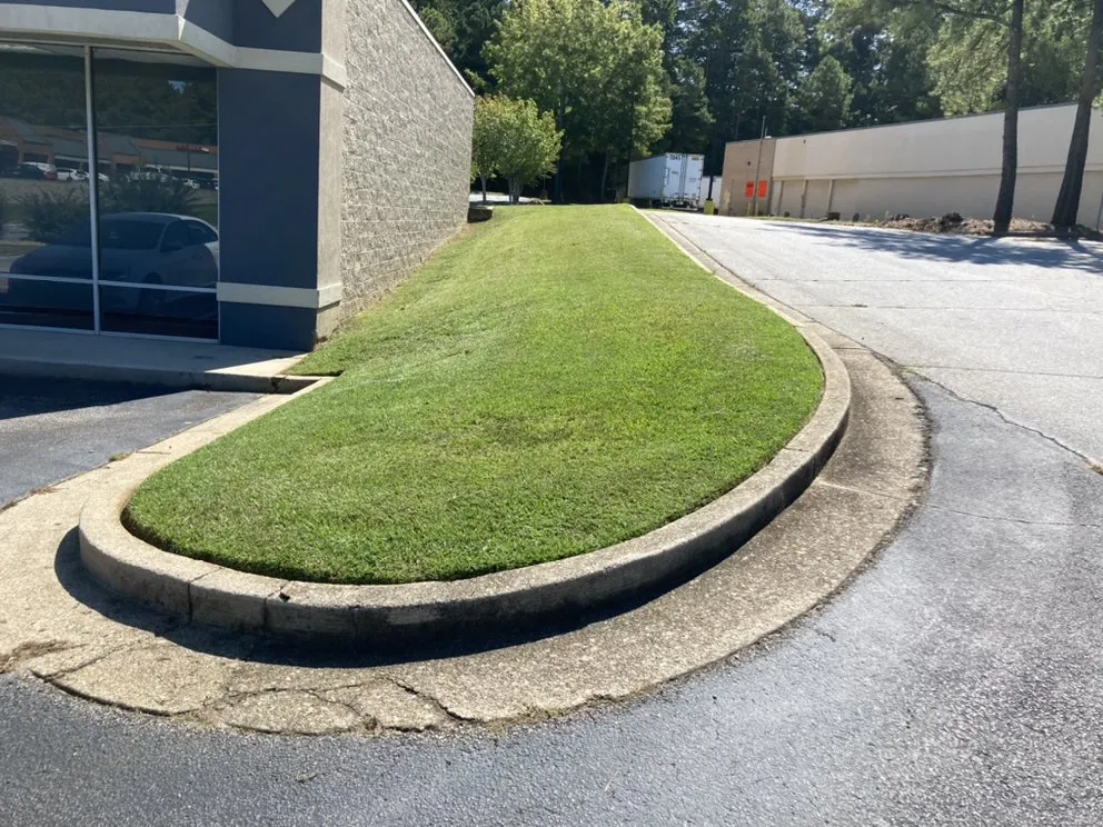 Local landscape installation in Atlanta, GA by New Beginning Landscape & Remodel