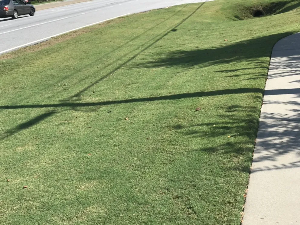 Top-rated outdoor landscaping in Atlanta, GA by New Beginning Landscape & Remodel