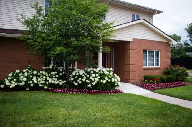 Affordable landscape installation in Detroit, MI - New Beginning Landscape Services