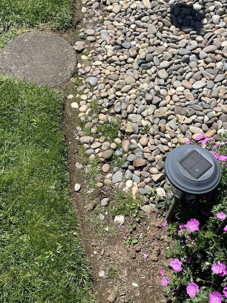 Professional lawn care service for beautiful yards in Vancouver, WA by New Beginning Lawn Services