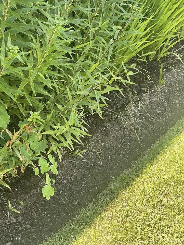 Reliable landscape installation for residential properties across Vancouver, WA - New Beginning Lawn Services