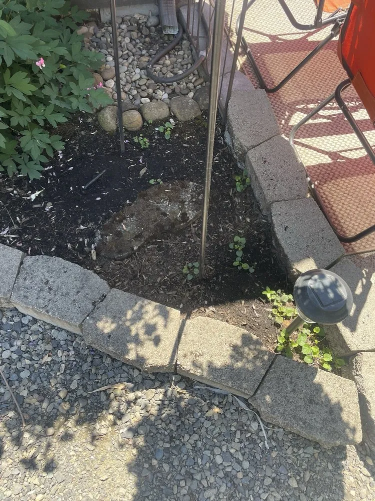 Local lawn care service experts serving Vancouver, WA - New Beginning Lawn Services