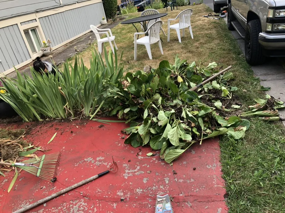 Reliable yard maintenance for beautiful yards across Vancouver, WA - New Beginning Lawn Services