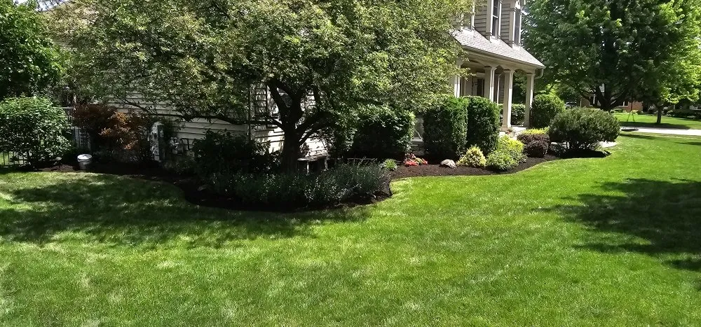 Top-rated landscaping services in Aurora, IL - New Beginnings Landscaping