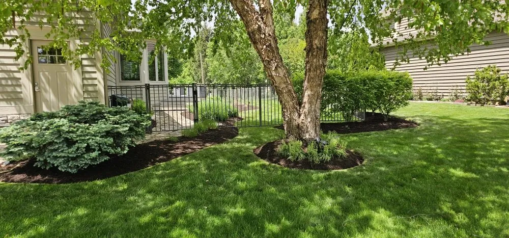 Top-rated landscaping services in Aurora, IL - New Beginnings Landscaping