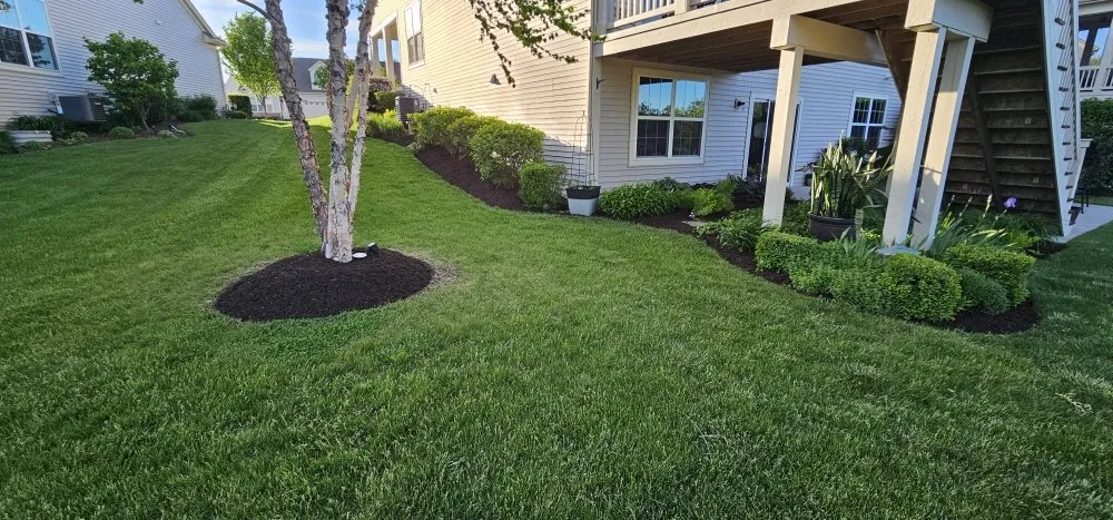 Professional lawn care service in Aurora, IL by New Beginnings Landscaping