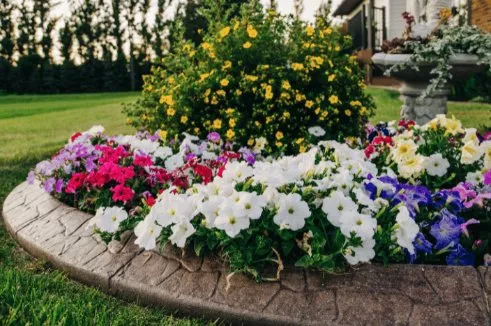 Affordable outdoor landscaping in Chestertown, MD by New Beginnings Landscaping