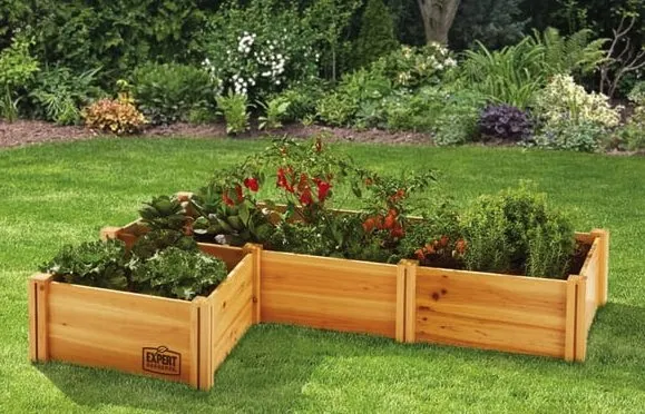 Expert yard maintenance for year-round maintenance across Chestertown, MD - New Beginnings Landscaping