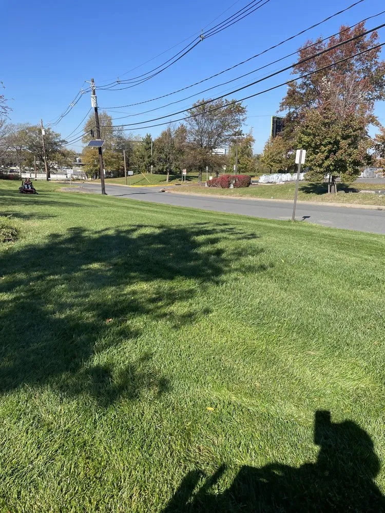 Trusted landscape installation experts serving Piscataway, NJ - New Beginnings Landscaping