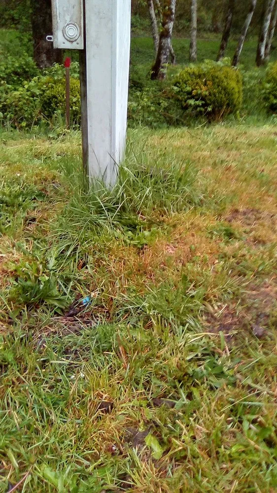 Expert landscape design with custom design in Vancouver, WA by New Beginnings Landscaping