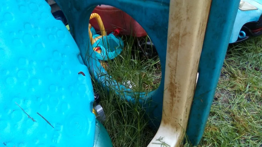 Expert yard maintenance near you across Vancouver, WA - New Beginnings Landscaping