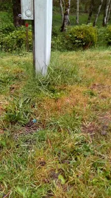 New Beginnings Landscaping Logo