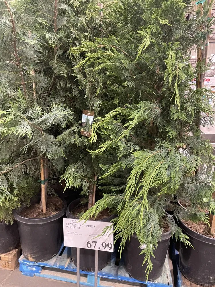 Affordable landscape installation experts serving Wilsonville, OR - New Beginnings Landscaping