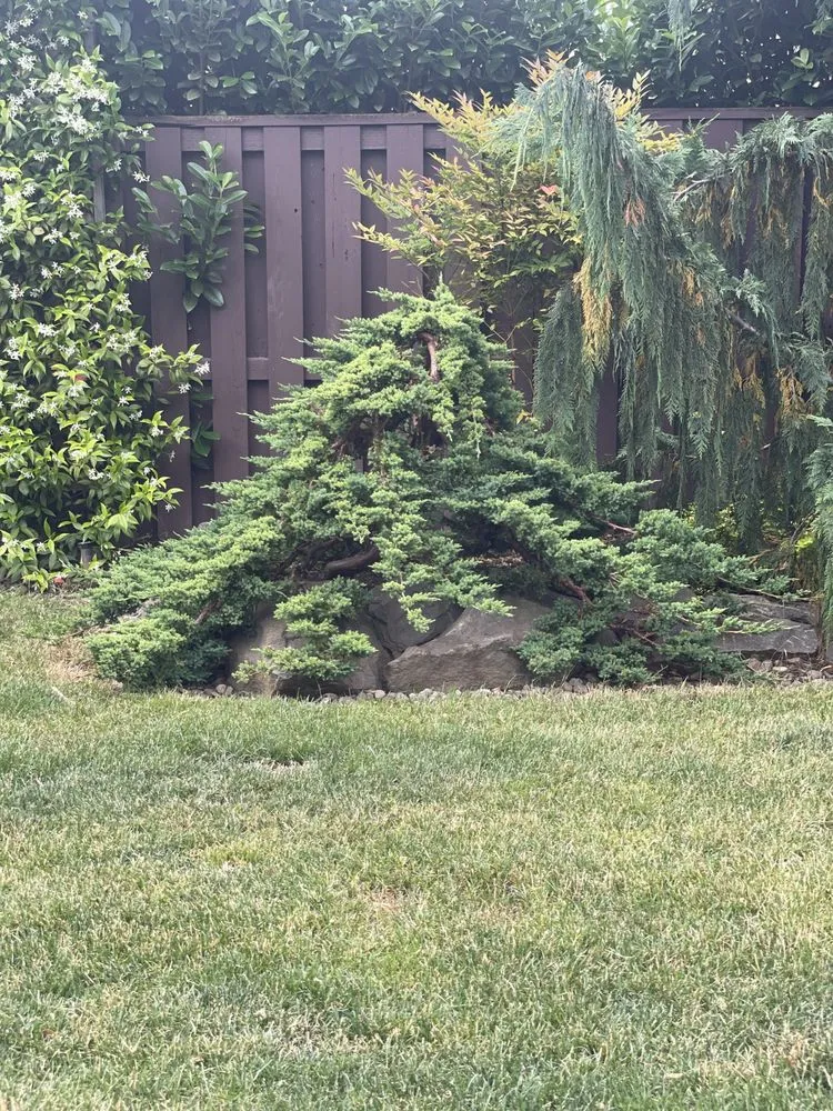 Trusted outdoor landscaping in Wilsonville, OR - New Beginnings Landscaping