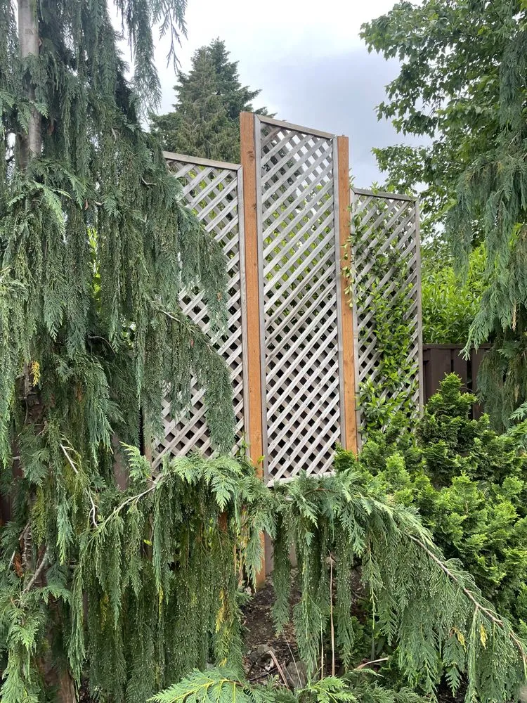 Expert residential landscaping experts serving Wilsonville, OR - New Beginnings Landscaping