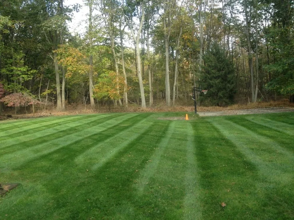 Professional landscape design experts serving Sandusky, OH - New Beginnings Lawn Care & Pressure Washing