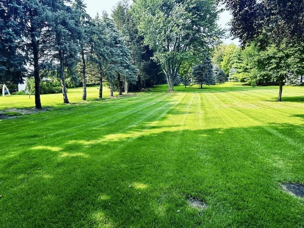 Affordable outdoor landscaping experts serving Sandusky, OH - New Beginnings Lawn Care & Pressure Washing