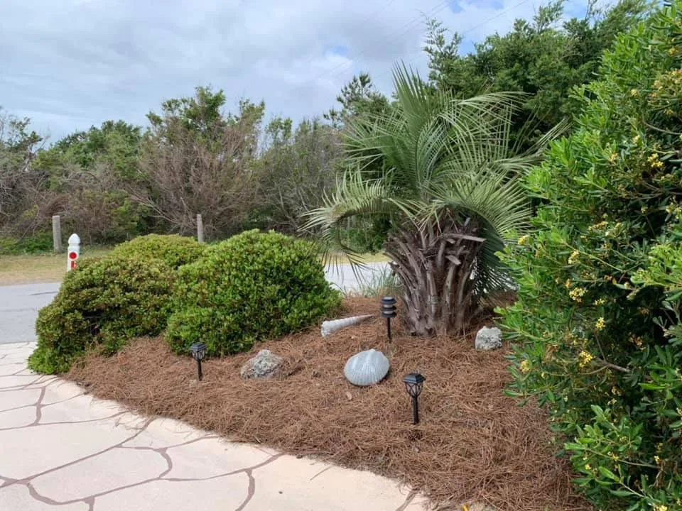 Local lawn mowing service for year-round maintenance in New Bern, NC by New Bern Lawn Care