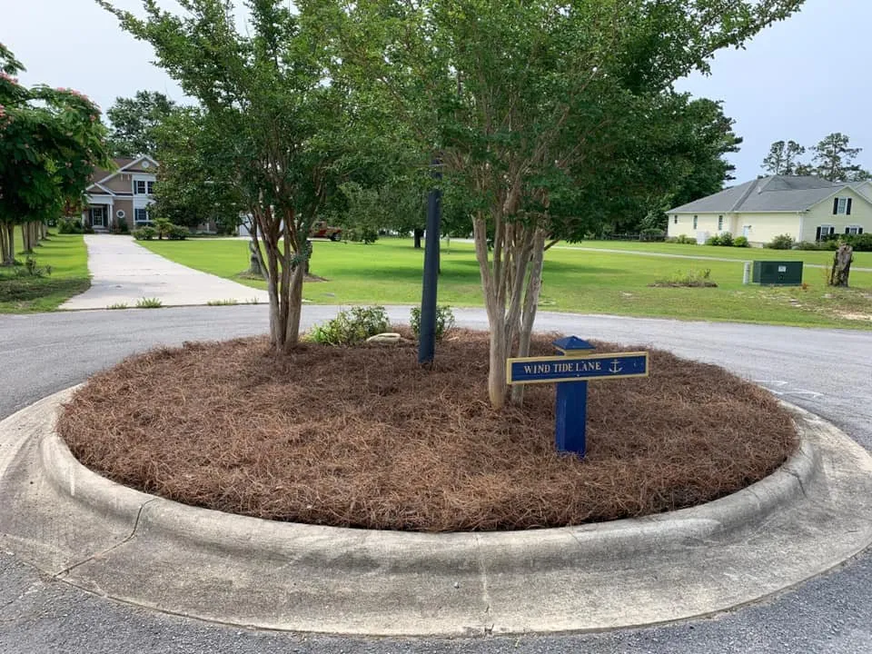 Local landscape installation experts serving New Bern, NC - New Bern Lawn Care
