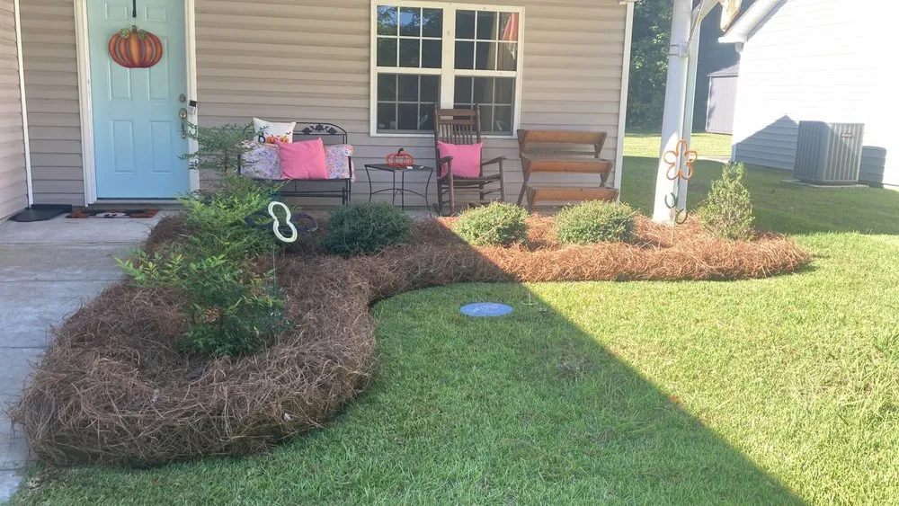 Top-rated landscape design in New Bern, NC - New Bern Lawn Care