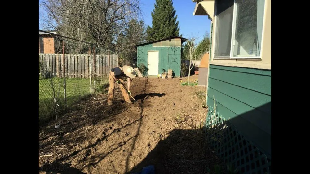 Top-rated lawn care service for homes across Bend, OR - New Bloom