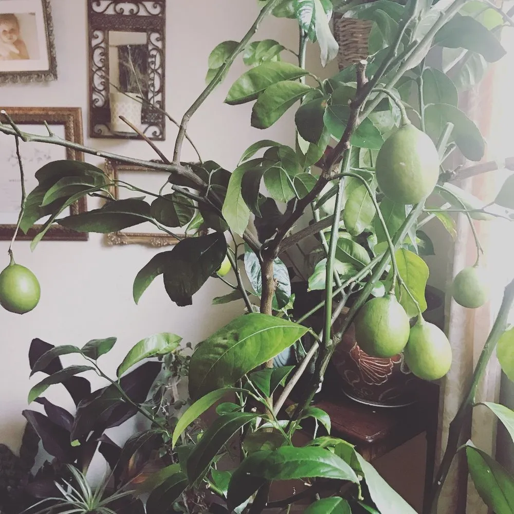 Top-rated landscape design for residential properties across Bend, OR - New Bloom