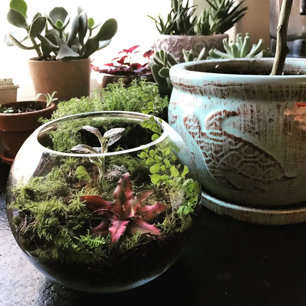 Reliable landscape installation experts serving Bend, OR - New Bloom