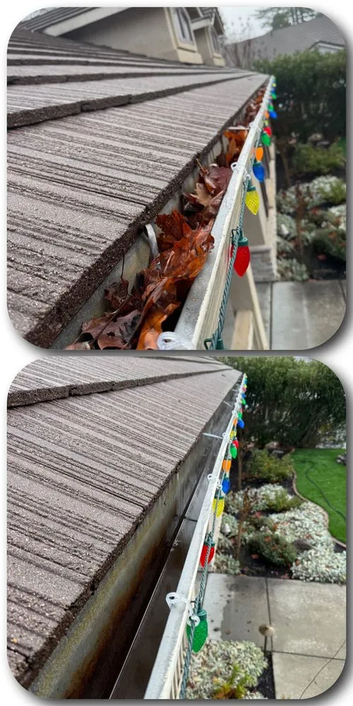 Local garden landscaping in Richmond, CA by New Bloom Gardening