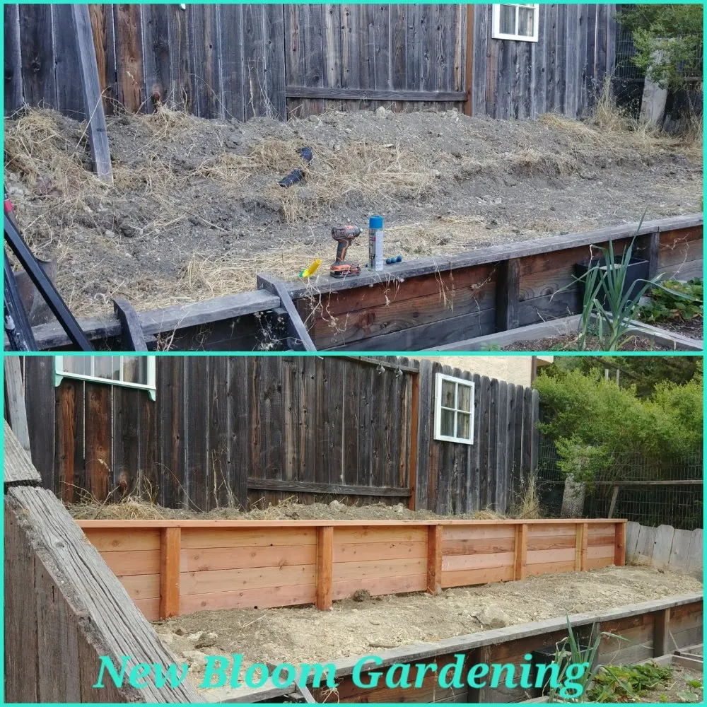 Affordable landscape design for outdoor upgrades across Richmond, CA - New Bloom Gardening