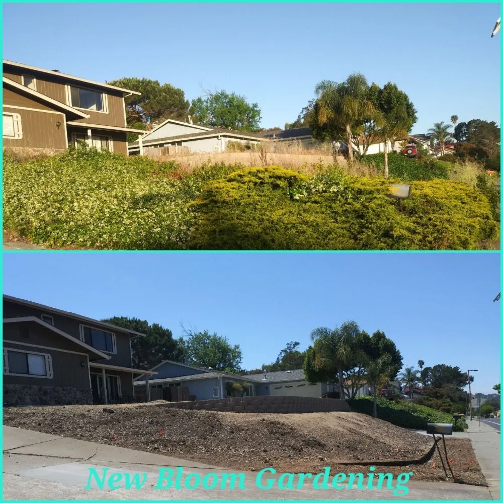 Custom landscape installation for year-round maintenance in Richmond, CA by New Bloom Gardening