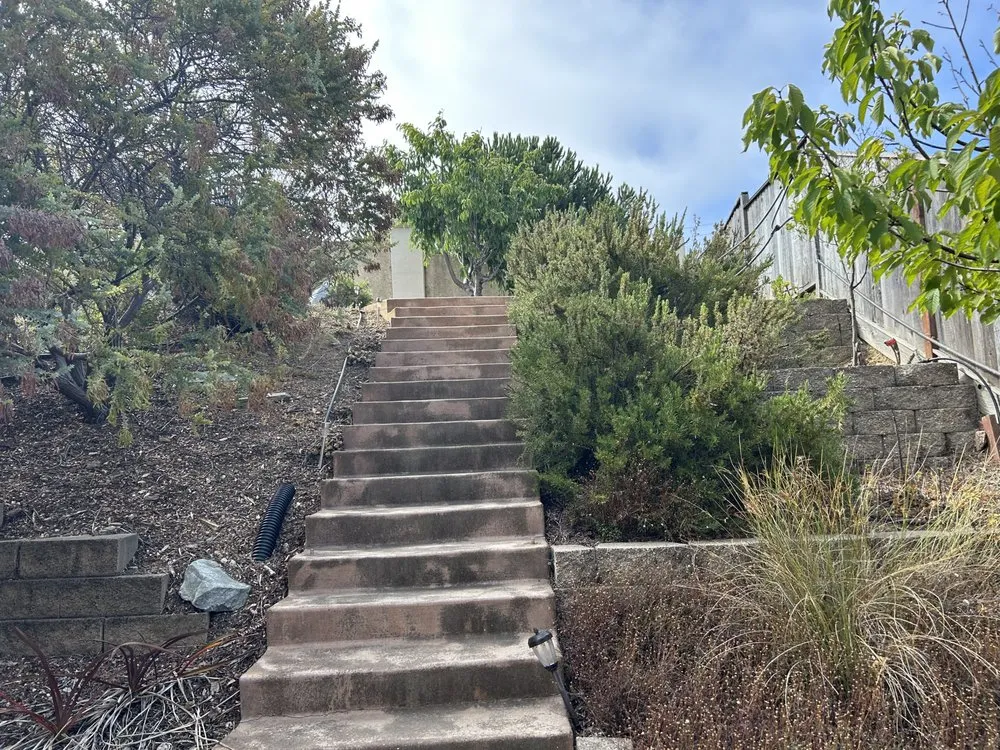 Professional yard cleanup service in Richmond, CA - New Bloom Gardening