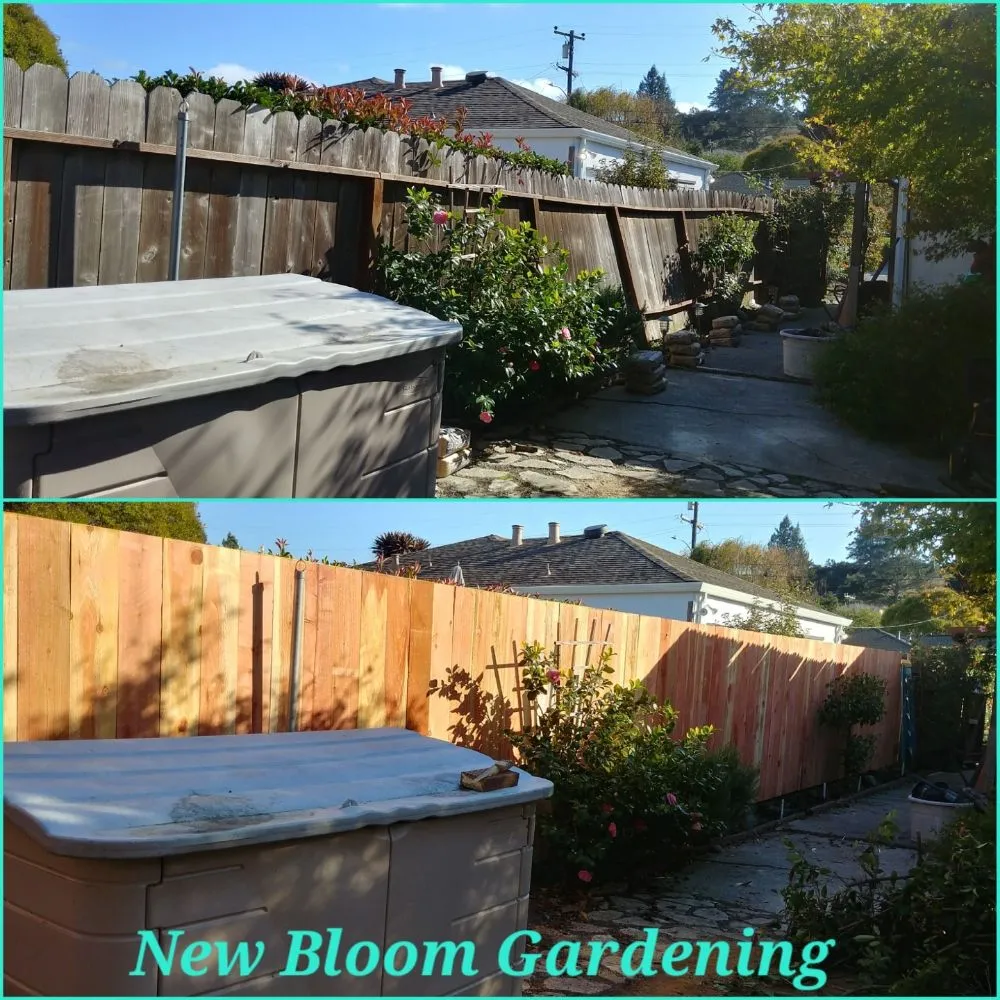 Trusted landscaping services in Richmond, CA by New Bloom Gardening