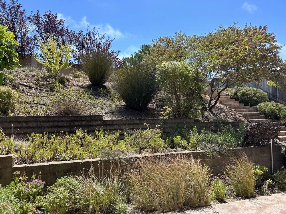 Top-rated landscape installation for year-round maintenance in Richmond, CA by New Bloom Gardening