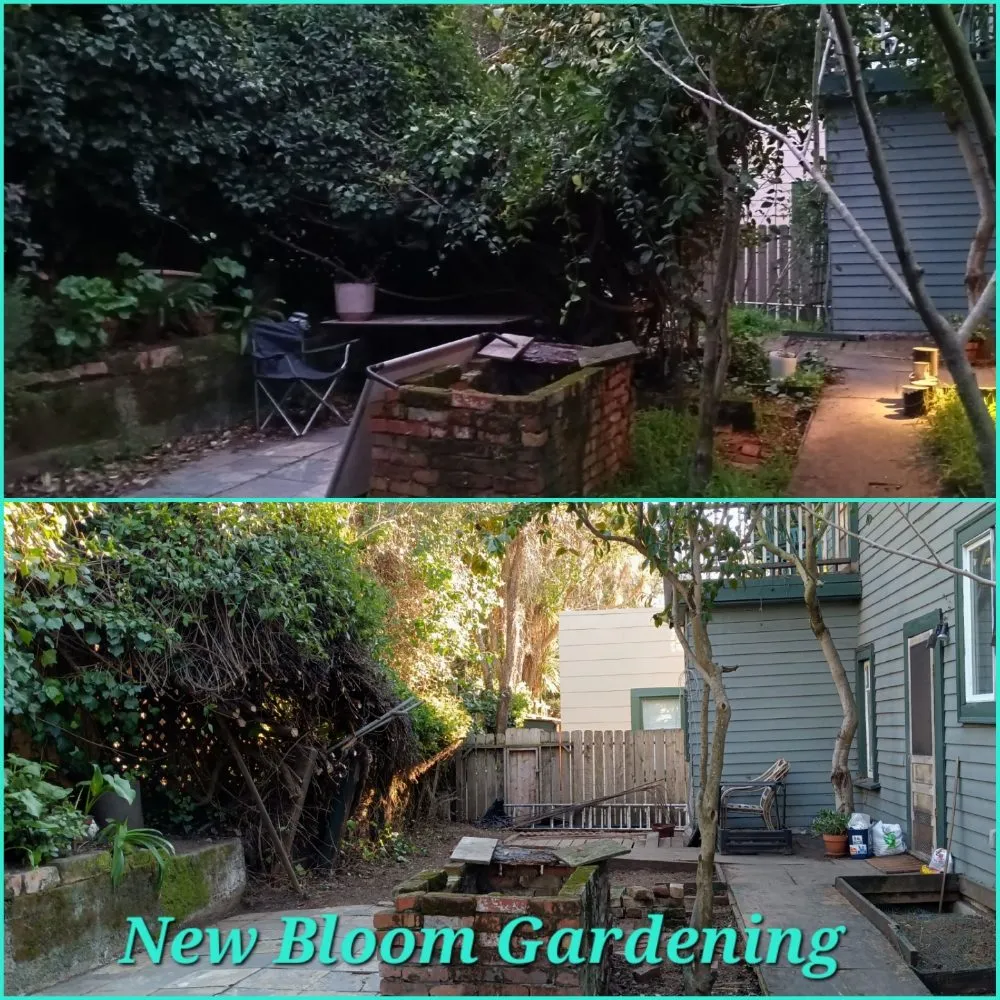 Affordable landscaping services in Richmond, CA - New Bloom Gardening