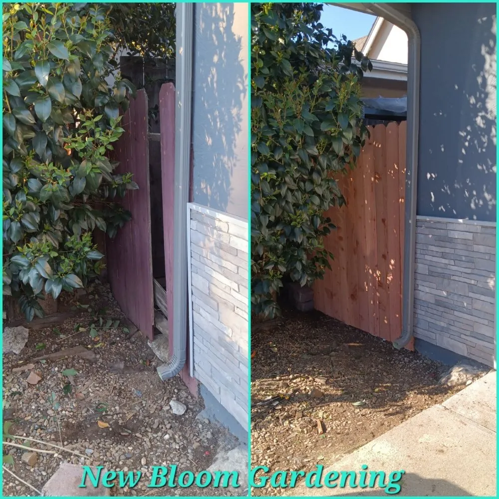 Top-rated lawn mowing service for homes across Richmond, CA - New Bloom Gardening