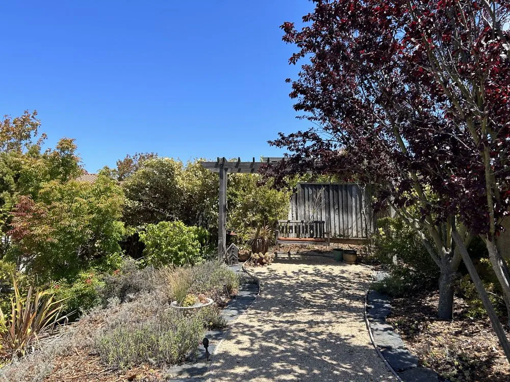 Professional landscape installation with custom design across Richmond, CA - New Bloom Gardening