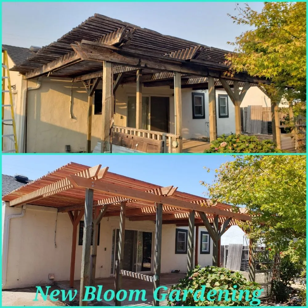 Affordable lawn mowing service in Richmond, CA - New Bloom Gardening