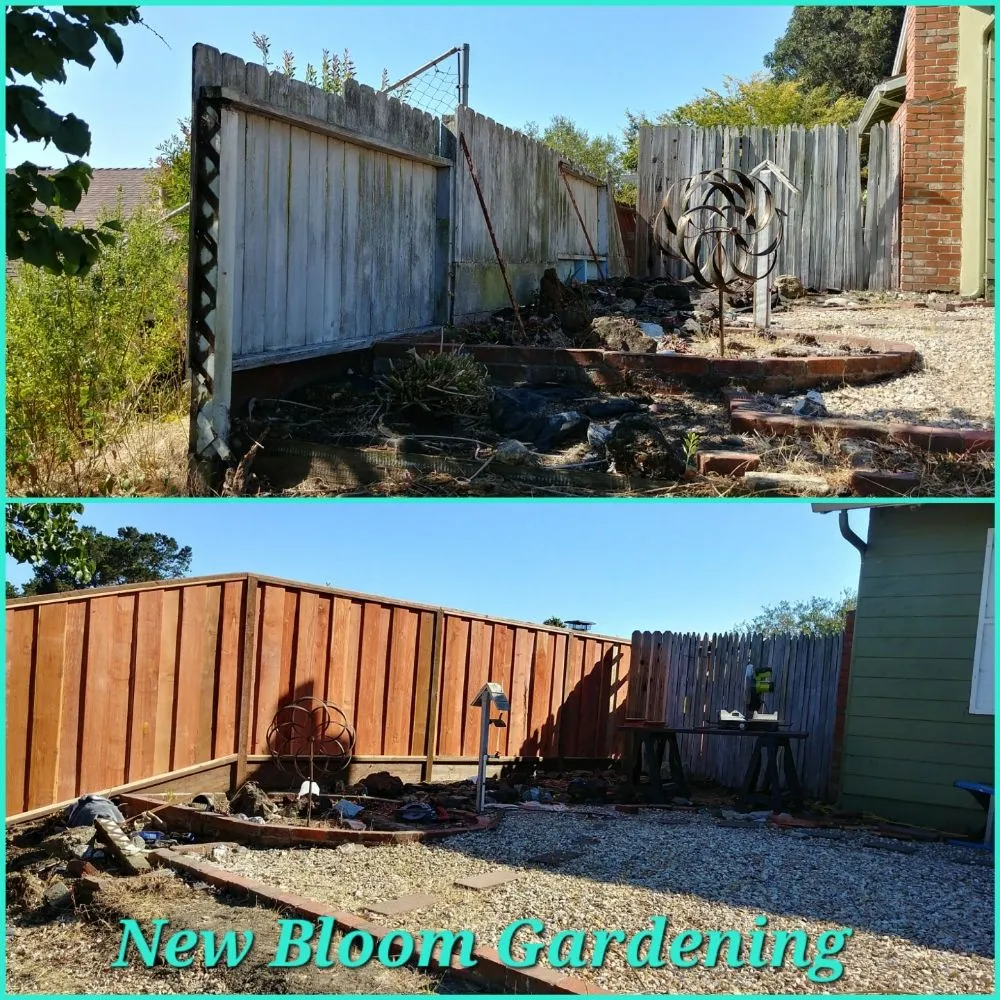 Affordable lawn mowing service in Richmond, CA by New Bloom Gardening