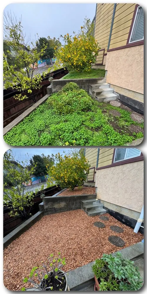 Trusted garden landscaping in Richmond, CA - New Bloom Gardening