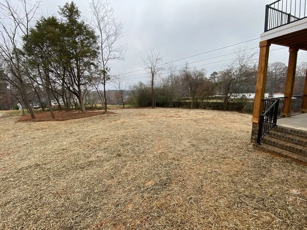 Professional yard maintenance in Denver, NC by New bloom Landscaping