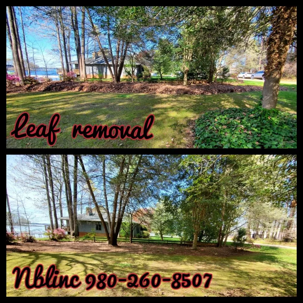 Custom landscape installation for year-round maintenance in Denver, NC by New bloom Landscaping