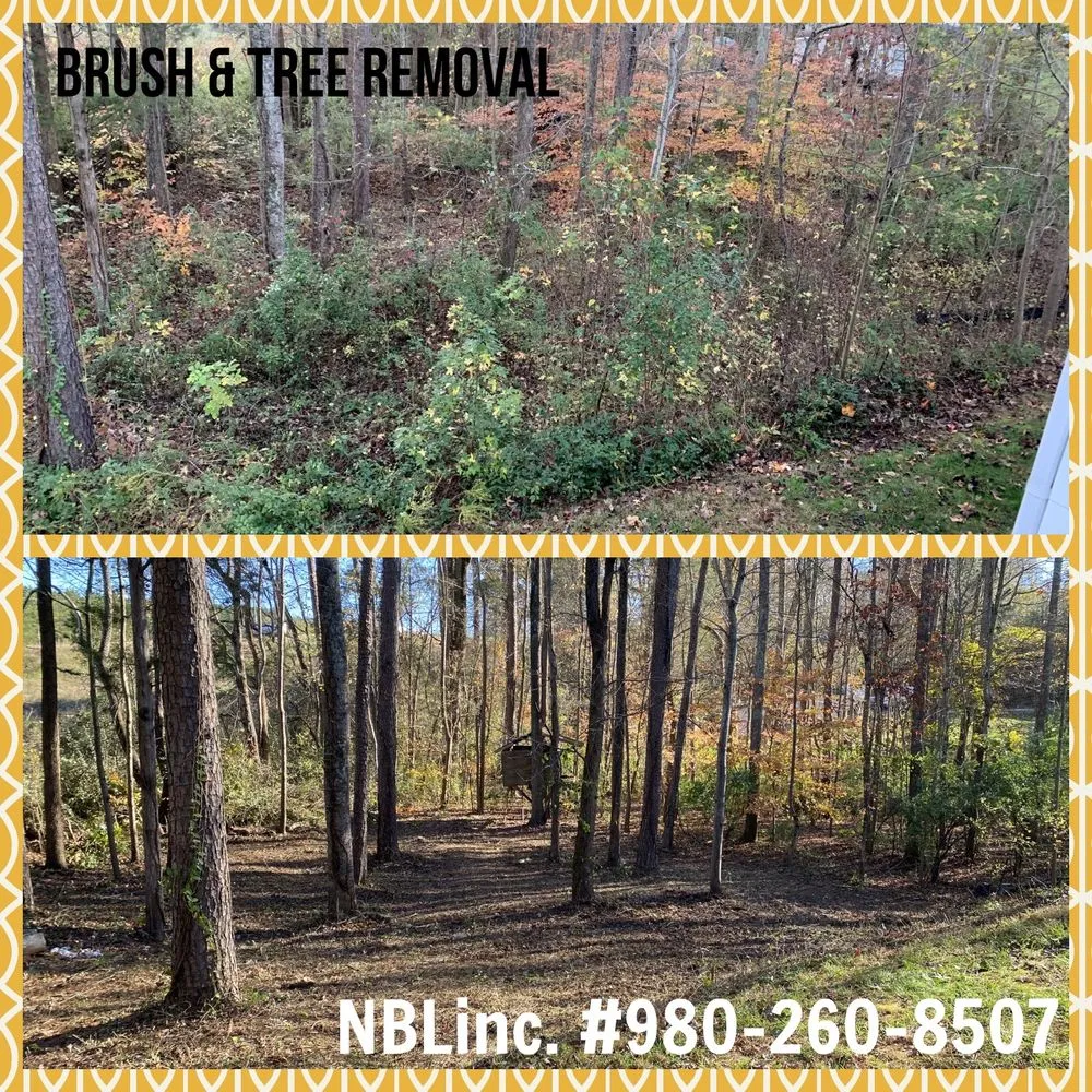 Affordable lawn care service near you across Denver, NC - New bloom Landscaping