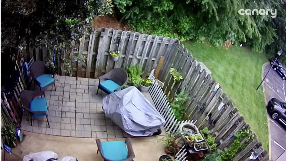 Expert outdoor landscaping in Denver, NC - New bloom Landscaping