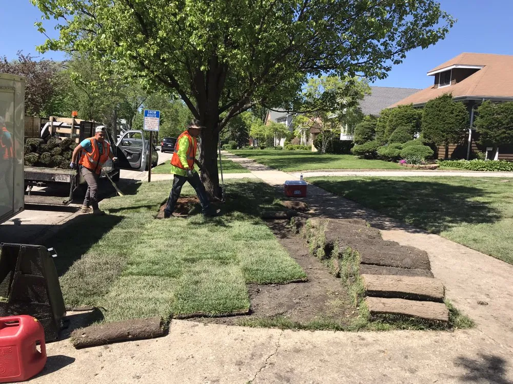 Professional residential landscaping in Chicago, IL by New Blossoms Lawn Care