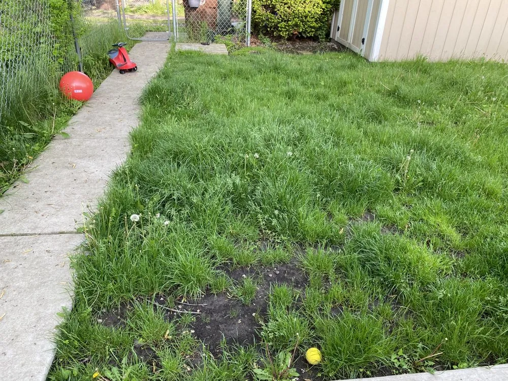 Professional landscape design in Chicago, IL by New Blossoms Lawn Care